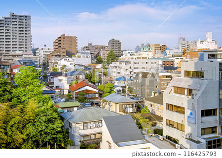 Residential area in Machida, Tokyo / Machida, Japan Residential area in Machida, Tokyo / Machida, Japan 116425793