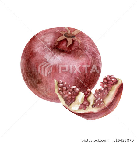 Red fresh pomegranate ripe with half pieces in seeds watercolor illustration. Hand drawn exotic fruit clip art for juice packing, label, logo, sauce bottle design. Fresh coctail decor, cosmetics pack Red fresh pomegranate ripe with half pieces in seeds watercolor illustration. Hand drawn exotic fruit clip art for juice packing, label, logo, sauce bottle design. Fresh coctail decor, cosmetics pack 116425879