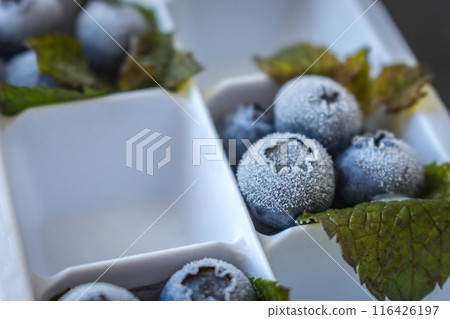 Frozen blueberry fruits with mint leaves. Frost blueberries and mint. Summer refreshment. Healthy dessert. Icy berries and mint in ice cube container. Cold food. Summer still life. Frozen blueberry fruits with mint leaves. Frost blueberries and mint. Summer refreshment. Healthy dessert. Icy berries and mint in ice cube container. Cold food. Summer still life. 116426197