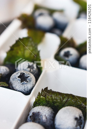 Frozen blueberry fruits with mint leaves. Frost blueberries and mint. Summer refreshment. Healthy dessert. Icy berries and mint in ice cube container. Cold food. Summer still life. 116426201