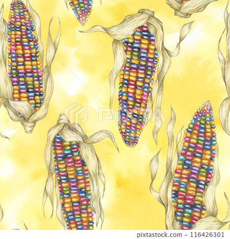 Indian heirloom corn seamless pattern, rainbow cobs on abstract splash watercolor backdrop. Maize fabric print for clothes, kitchen, wallpaper, wrapping, scrapbooking, food packaging, Thanksgiving Indian heirloom corn seamless pattern, rainbow cobs on abstract splash watercolor backdrop. Maize fabric print for clothes, kitchen, wallpaper, wrapping, scrapbooking, food packaging, Thanksgiving 116426301