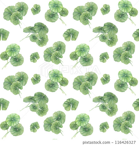 Leaves of centella asiatica seamless pattern, vibrant foliage textile,cottagecore clipart. Watercolor gotu kola botanical print design for kitchen textile, wrapping paper, scrapbooking, clothes 116426327