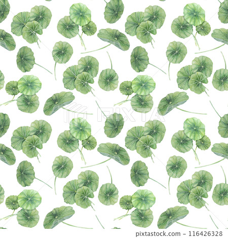 Green centella asiatica seamless pattern, vibrant foliage textile, greenery clipart. Watercolor gotu kola botanical print design for clothes, wallpaper, wrapping paper, scrapbooking, apparel, beauty 116426328
