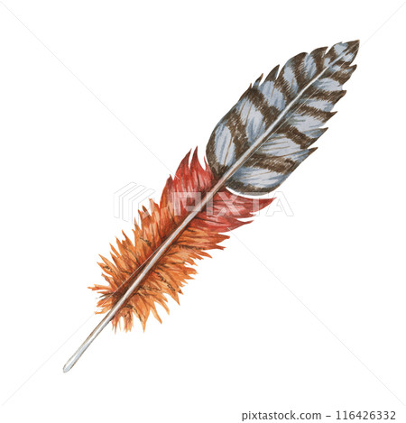 Feather in watercolor combining deep red, orange, brown and dark grey tones. Imaginary Bird plumage clipart for digital art pieces, fashion accessories, and bohemian-themed designs, home decor Feather in watercolor combining deep red, orange, brown and dark grey tones. Imaginary Bird plumage clipart for digital art pieces, fashion accessories, and bohemian-themed designs, home decor 116426332