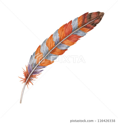 Feather watercolor illustration with combination of orange, red, and blue hues. Bird plumage clipart for use in bohemian-themed designs, digital artwork, and home decor items 116426338