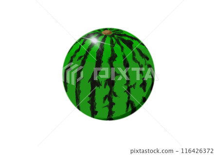 Fresh watermelon illustration 116426372