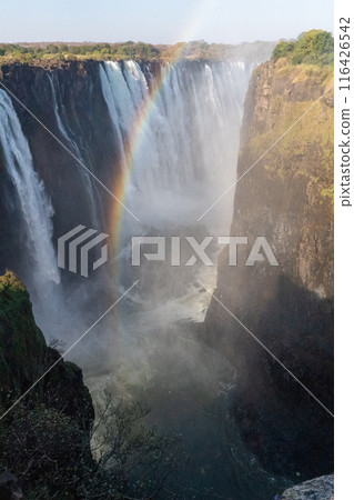 Victoria Falls in Zimbabwe 116426542