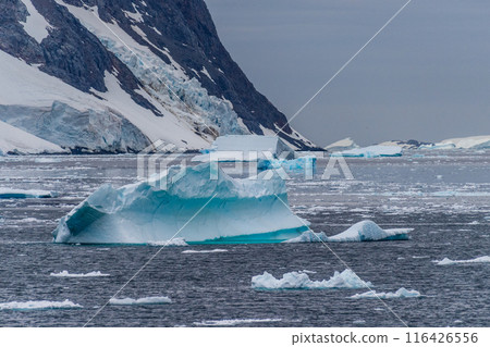 Antarctic landscape near the Lemaire channel Antarctic landscape near the Lemaire channel 116426556