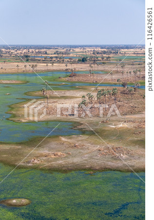 Aerial view of the Okavango Delta 116426561