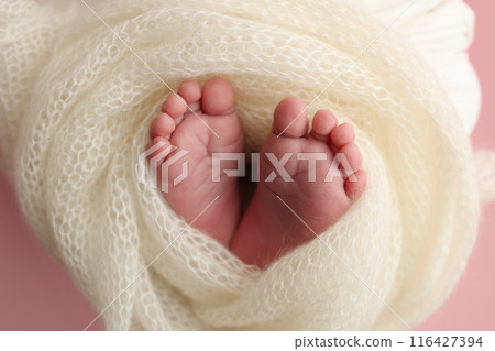 The tiny foot of a newborn. Soft feet of a newborn in a white woolen blanket, pink background. Close up of toes, heels and feet of a newborn baby. Studio Macro photography. Woman's happiness. The tiny foot of a newborn. Soft feet of a newborn in a white woolen blanket, pink background. Close up of toes, heels and feet of a newborn baby. Studio Macro photography. Woman's happiness. 116427394