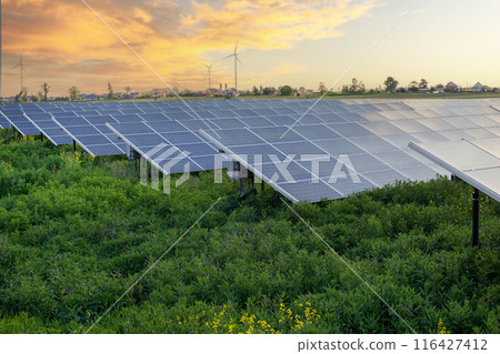 Solar Panel Field at Sunset 116427412