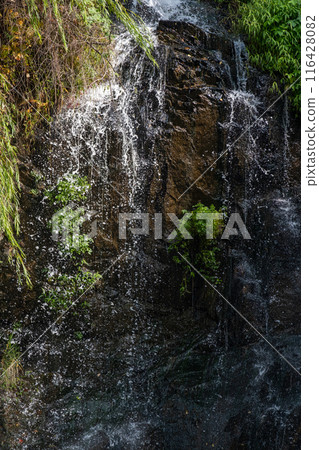 Close-up of waterfall with autumn foliage Close-up of waterfall with autumn foliage 116428082