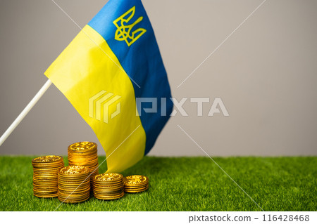 A stack of coins near the Ukrainian flag. The concept of the budget of Ukraine and the financial situation in the country. Money, investment and donation A stack of coins near the Ukrainian flag. The concept of the budget of Ukraine and the financial situation in the country. Money, investment and donation 116428468