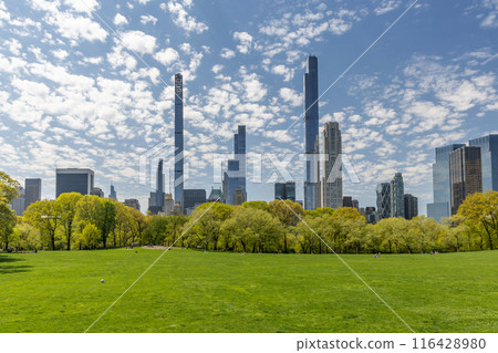 Manhattan skyscrapers and Central Park Manhattan skyscrapers and Central Park 116428980