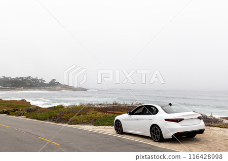 Coastal landscape in California Coastal landscape in California 116428998