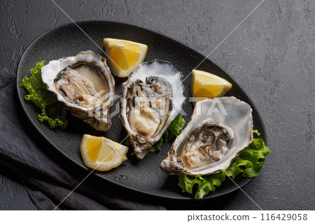 Fresh oysters with lemon on plate Fresh oysters with lemon on plate 116429058