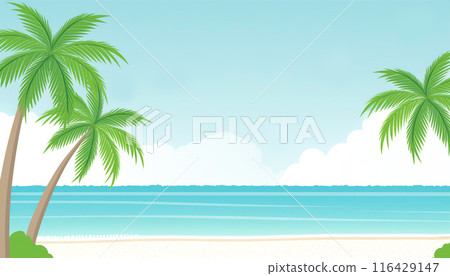 熱帶圖像棕櫚樹 116429147