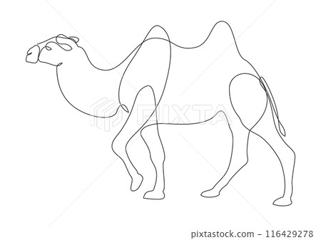 Continuous line drawing of camel. One line of arabian camel animal. Vector illustration. Continuous line drawing of camel. One line of arabian camel animal. Vector illustration. 116429278