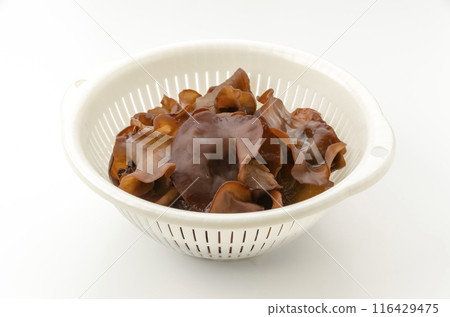 活潑的石斑魚 116429475