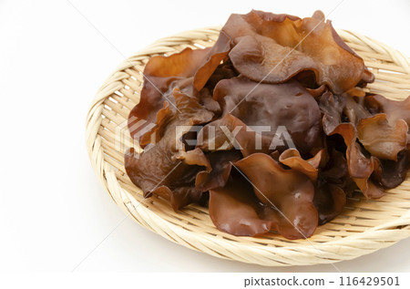 活潑的石斑魚 活潑的石斑魚 116429501