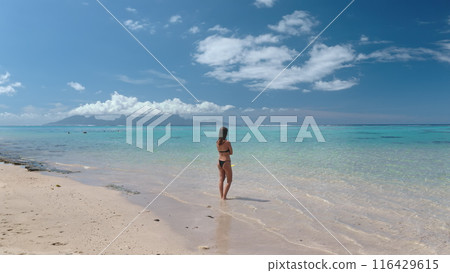 A woman wearing a bikini is standing on the sandy beach, with the ocean waves in the background. Blue sky sunny day. Tahiti, French Polynesia 116429615