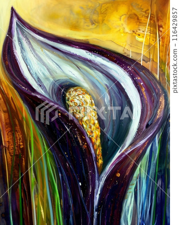 Abstract style fine art painting of a blooming purple calla lily flower 116429857