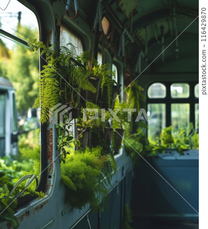 Old bus repurposed as a greenhouse with an array of potted plants lining its windows. 116429870