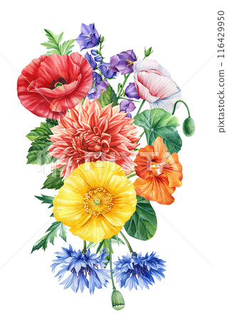 Summer wildflowers, green leaves on an isolated, poppies, roses, dahlia. painted in watercolor. Wild field herbs 116429950