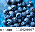 Collection of fresh blueberries neatly stacked on a vibrant blue table, creating a visually appealing display. 116429997