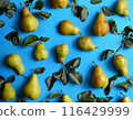 Collection of ripe pears and green leaves arranged neatly on a vibrant blue background. The pears are varying in size and color, some with stems attached. 116429999