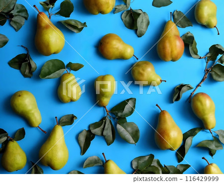 Collection of ripe pears and green leaves arranged neatly on a vibrant blue background. The pears are varying in size and color, some with stems attached. 116429999