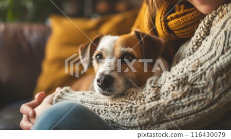 Gentle moment as a woman embraces her Jack Russell Terrier, showcasing a deep bond and mutual comfort. 116430079