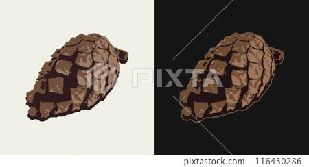 Pine, cedar cone. Image tracing, cleaned and simplified illustration. Realistic style. Not AI. Pine, cedar cone. Image tracing, cleaned and simplified illustration. Realistic style. Not AI. 116430286