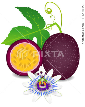 Whole passion fruit and half with flower isolated on white background. 116430453