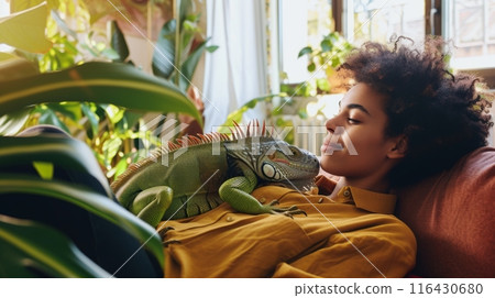 African American young woman is relaxing on a couch near a window, with a green iguana resting on their chest amidst indoor plants. African American young woman is relaxing on a couch near a window, with a green iguana resting on their chest amidst indoor plants. 116430680