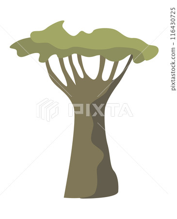 African baobab tree icon color emblem isolated on white background. Vector illustration of powerful plant 116430725