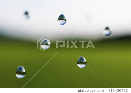 Raindrops falling close-up Raindrops falling close-up 116430732