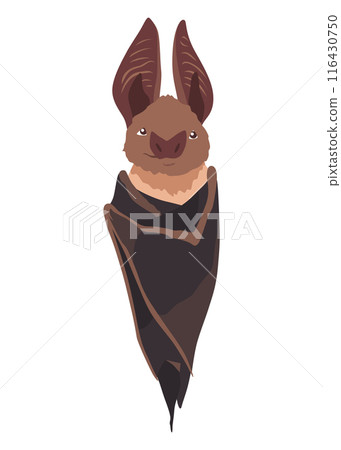 Bat. Concept cartoon bat. Vector clipart illustration isolated on white background Bat. Concept cartoon bat. Vector clipart illustration isolated on white background 116430750