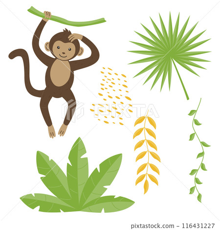 A wild animal. A cute monkey is hanging on a branch isolated on a white background. Flat vector illustrations for children. A wild animal. A cute monkey is hanging on a branch isolated on a white background. Flat vector illustrations for children. 116431227