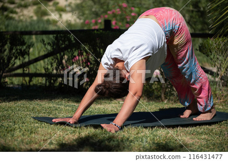 Woman practicing yoga outdoors in downward dog pose on a sunny day in a garden Woman practicing yoga outdoors in downward dog pose on a sunny day in a garden 116431477
