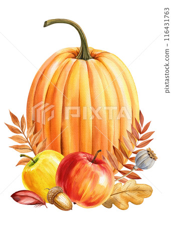 Pumpkin, apples, autumn leaves watercolor Isolated. Fall composition for design Halloween Thanksgiving harvest festivals Pumpkin, apples, autumn leaves watercolor Isolated. Fall composition for design Halloween Thanksgiving harvest festivals 116431763