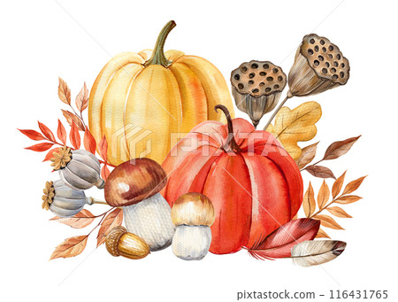 Pumpkins, mushroom, plant watercolor Isolated. Fall composition for design Halloween, Thanksgiving harvest festivals 116431765