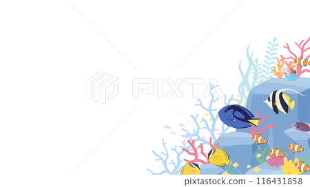 熱帶魚在有岩石和珊瑚的海底游泳的背景圖_16:9 116431858