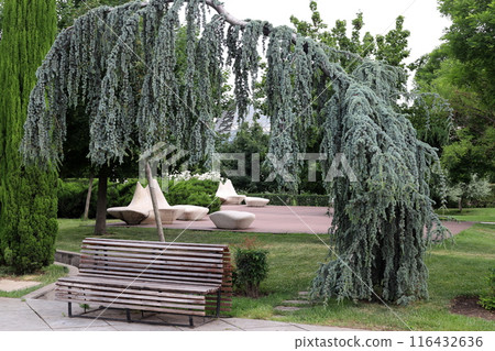 Rest bench in a city park in Israel. Rest bench in a city park in Israel. 116432636