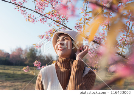 Asian woman enjoying with wild himalayan cherry blooming in the garden on springtime Asian woman enjoying with wild himalayan cherry blooming in the garden on springtime 116433003