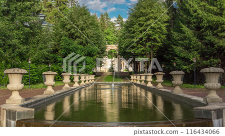 Green trees and bushes in a park or forest at summer timelapse. Green trees and bushes in a park or forest at summer timelapse. 116434066