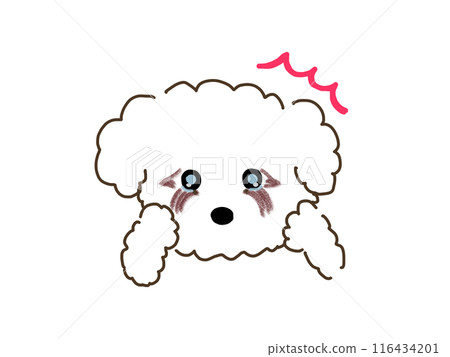 Dog with eye problems Dog with eye problems 116434201