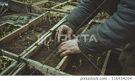 The seasoned hands of the elderly man work with precision, crafting a garden that exudes the beauty of nature's delicate balance The seasoned hands of the elderly man work with precision, crafting a garden that exudes the beauty of nature's delicate balance 116434204