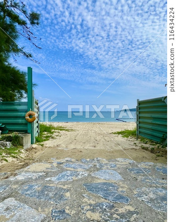 Beautiful beach entrance (portrait) Beautiful beach entrance (portrait) 116434224