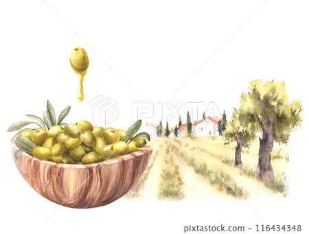Wooden bowl with green Olives. Olive tree harvest against rural farm landscape. Watercolor painted harvest illustration. Food label Agricultural fields, hills, old houses.Hand draw isolated background 116434348